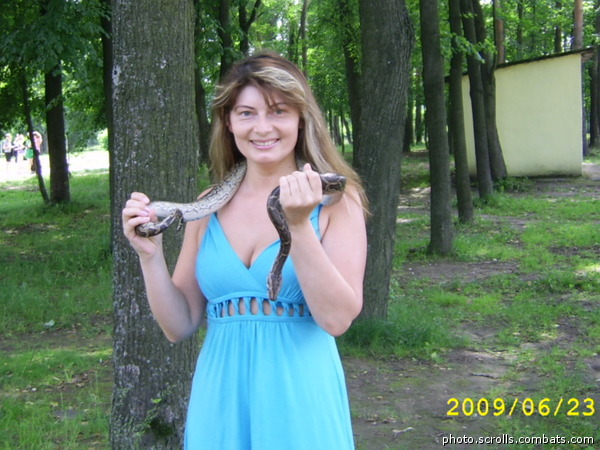 View prev photo
