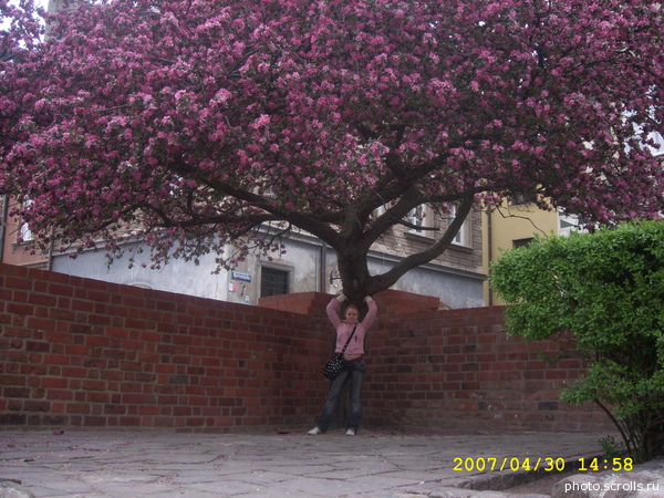View prev photo