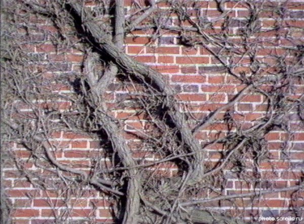 View next photo