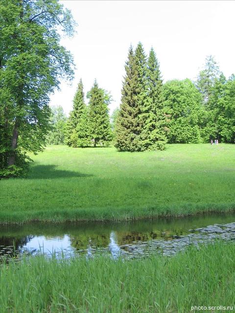 View next photo