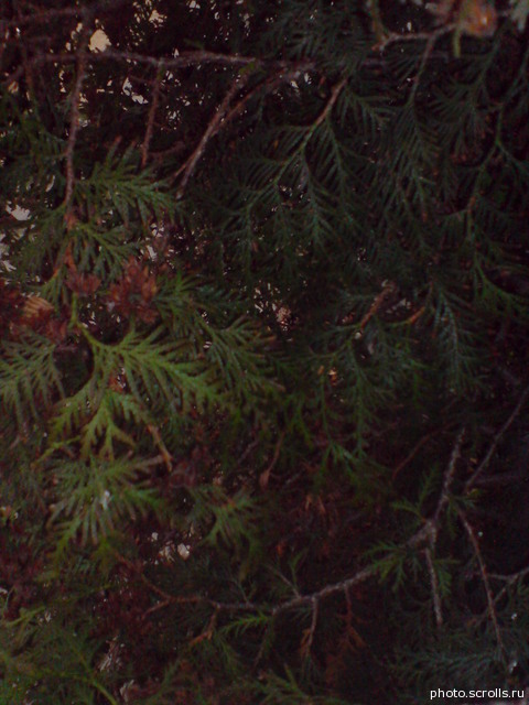 View next photo