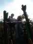 View prev photo
