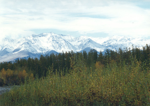 View next photo