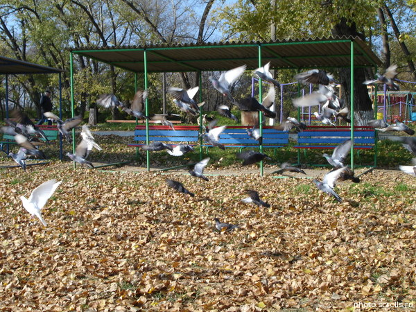 View next photo