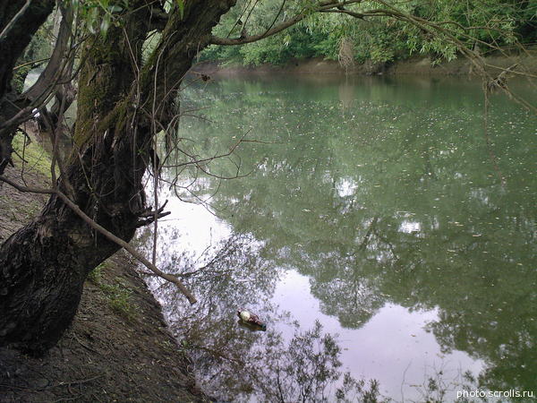 View prev photo