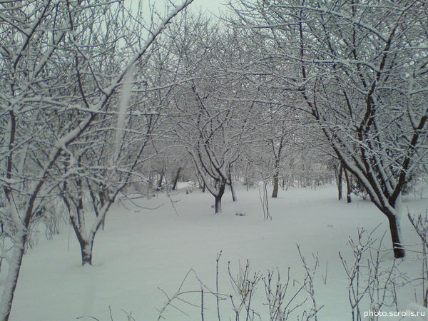 View prev photo