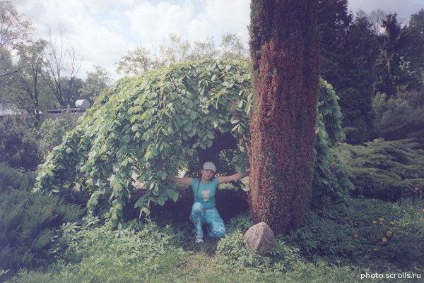 View prev photo