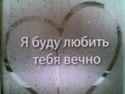 View prev photo