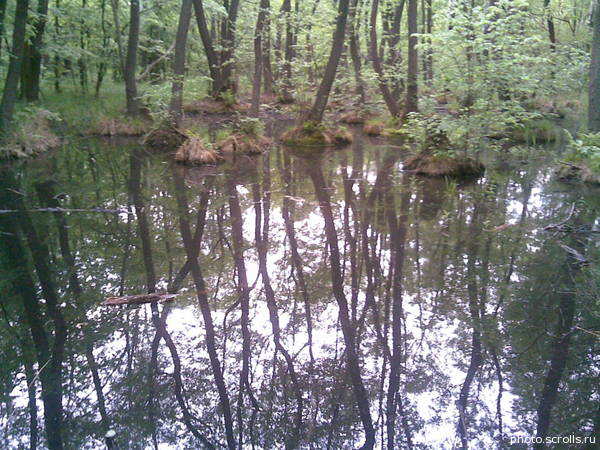 View prev photo