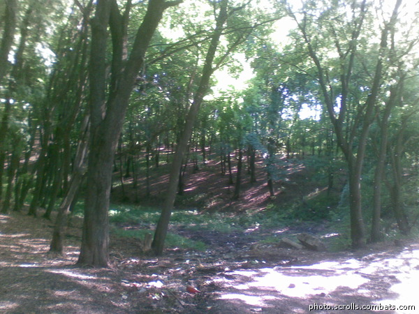 View next photo