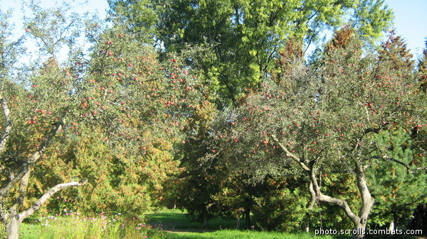 View next photo