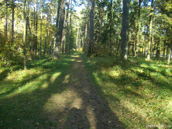 View next photo