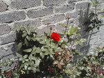 View next photo