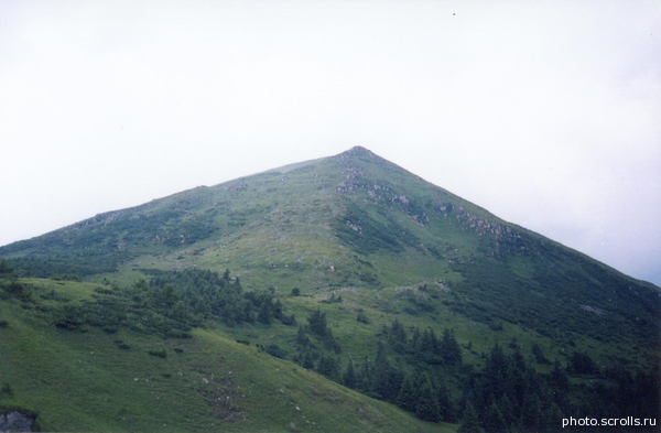 View next photo