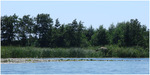 View next photo