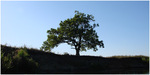 View next photo