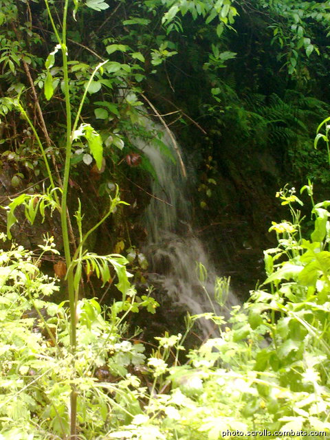 View next photo