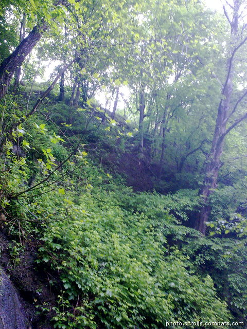 View next photo