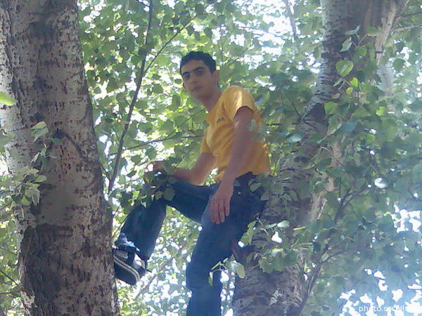 View prev photo