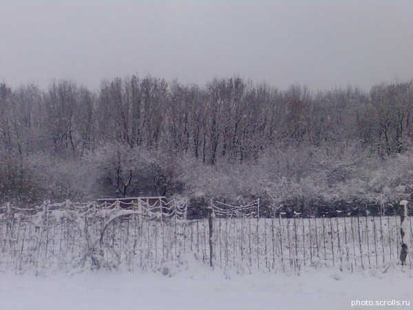 View prev photo