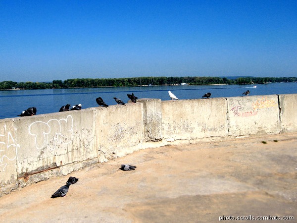 View prev photo