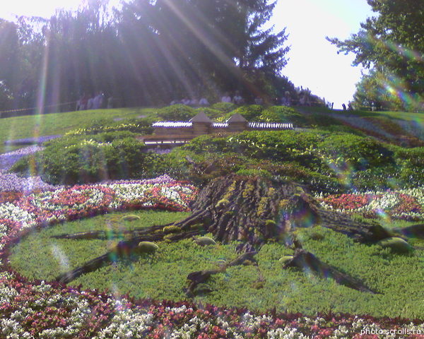 View next photo