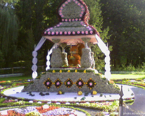 View next photo
