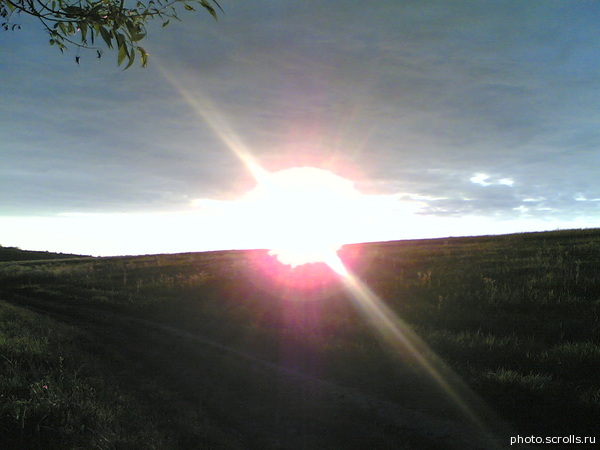 View prev photo