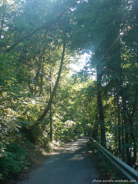View prev photo