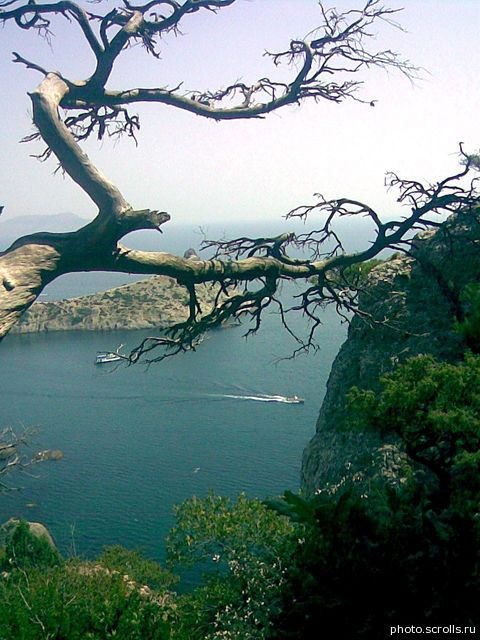 View prev photo