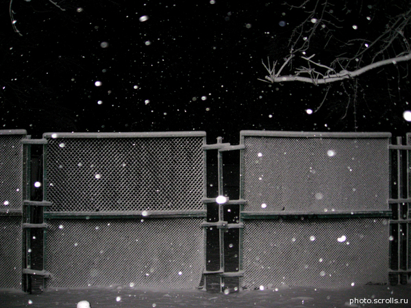 View next photo