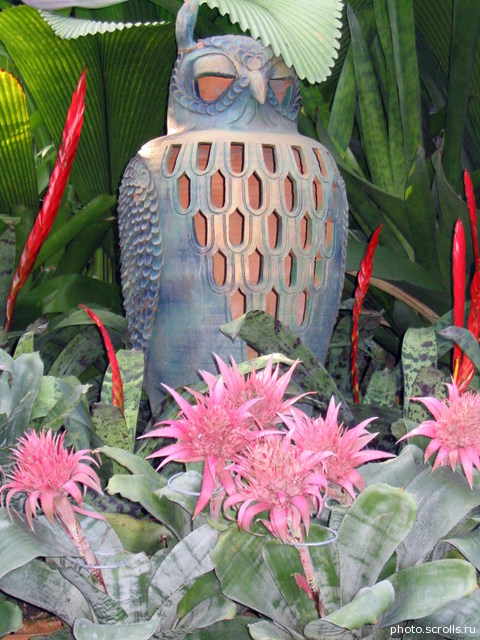 View next photo