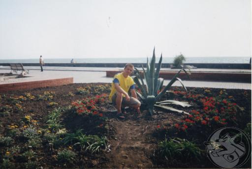 View prev photo