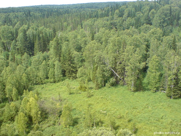 View next photo