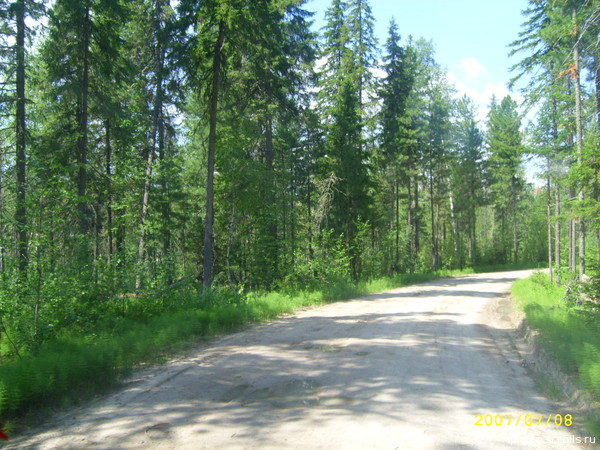 View prev photo