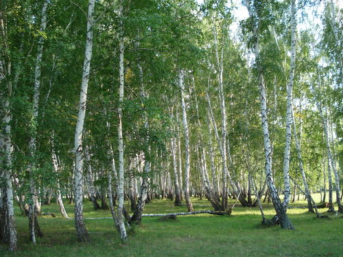 View next photo