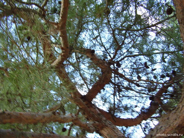View next photo