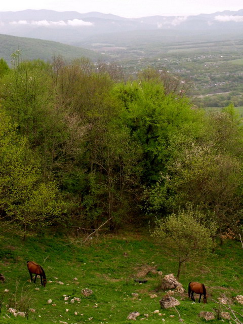 View prev photo