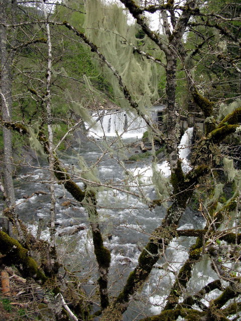 View next photo