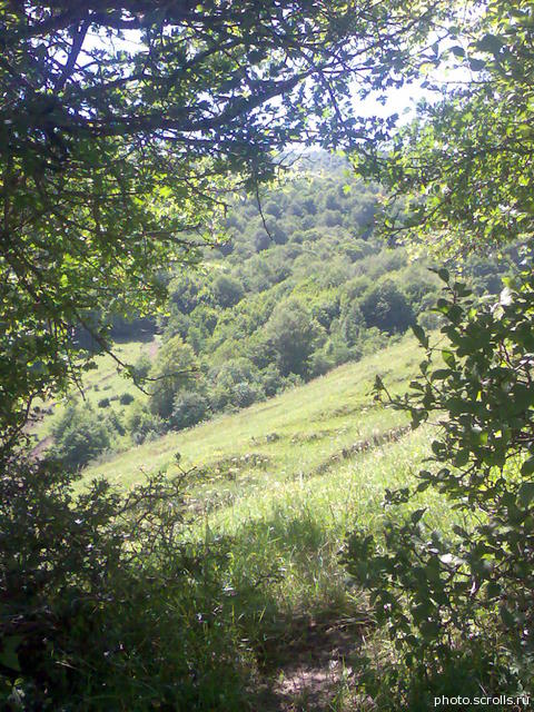 View next photo