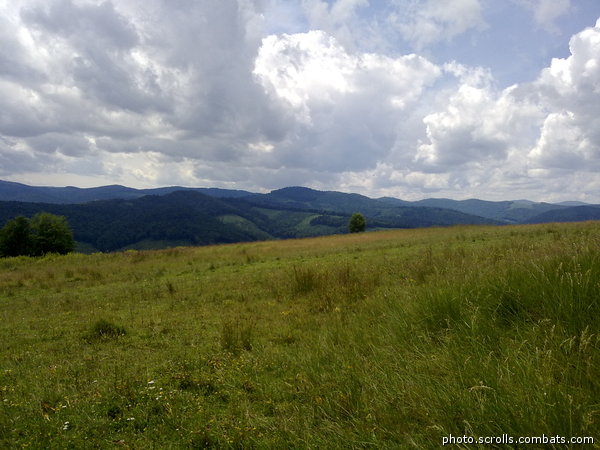 View prev photo