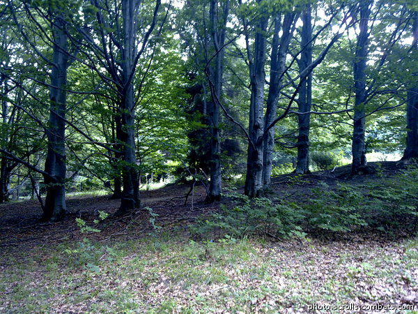 View next photo