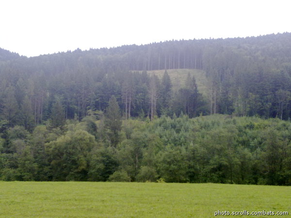 View next photo
