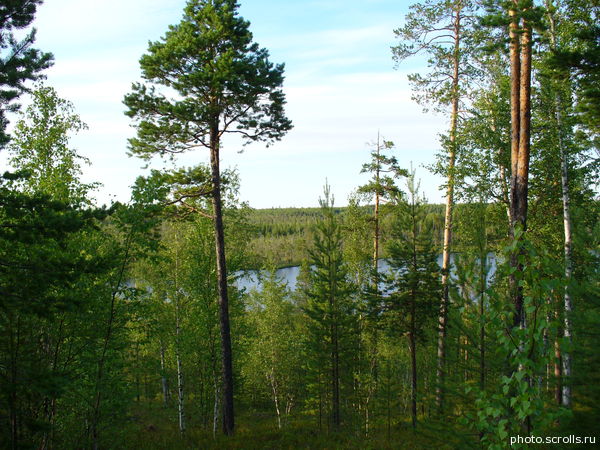 View next photo