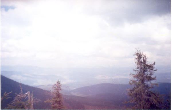 View next photo