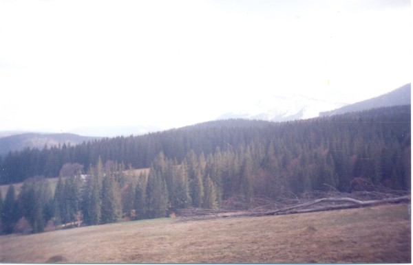 View next photo