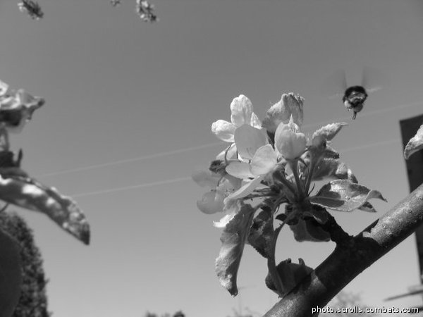 View prev photo