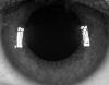View prev photo