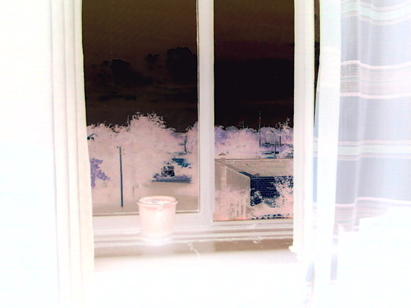 View prev photo