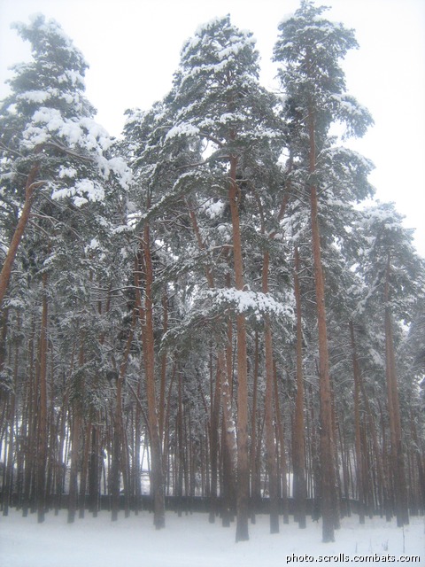 View next photo